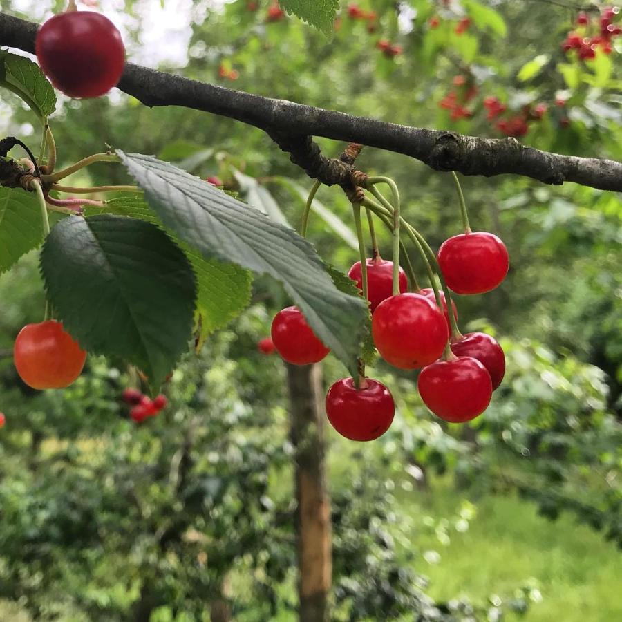Agriturismo Ca Du Chittu Carro 外观 照片