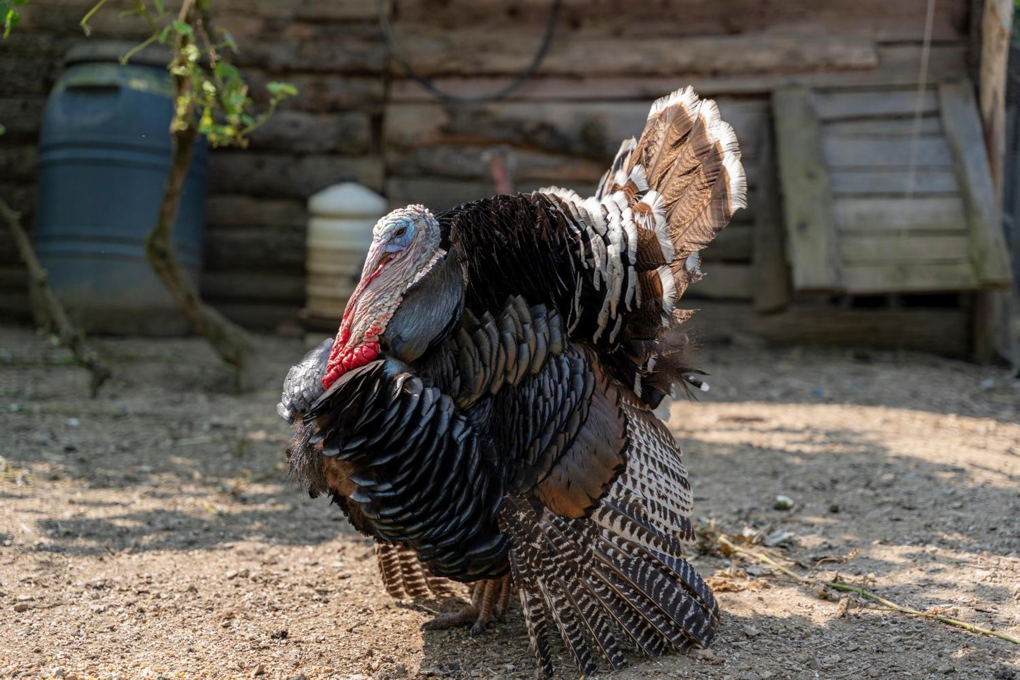 Agriturismo Ca Du Chittu Carro 外观 照片