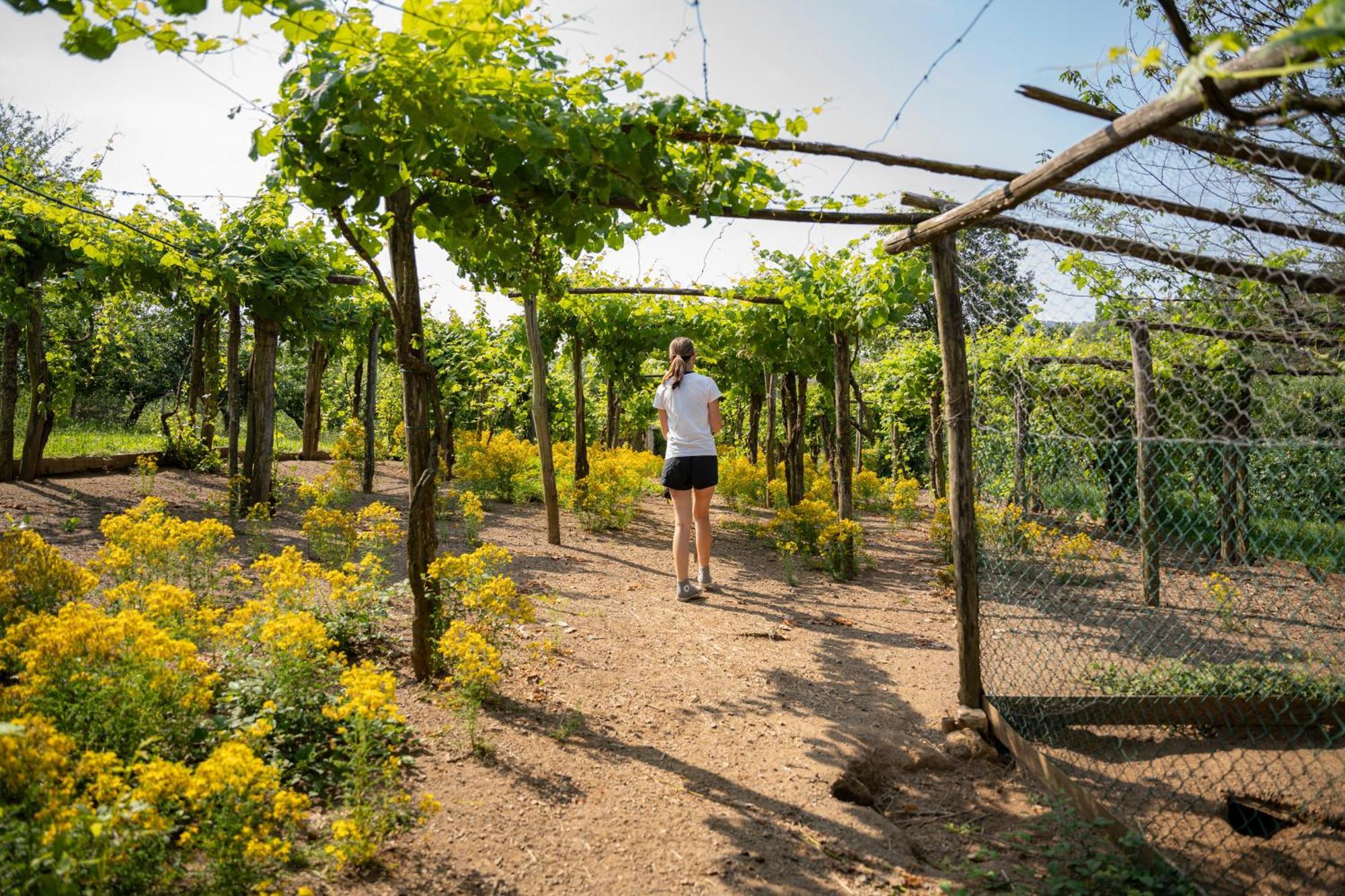 Agriturismo Ca Du Chittu Carro 外观 照片