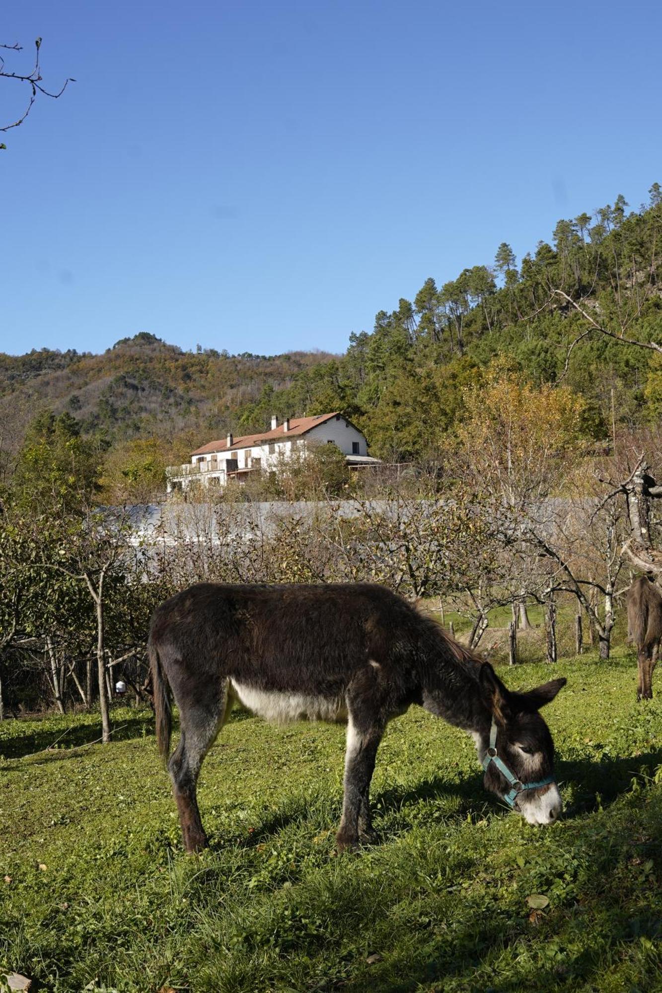 Agriturismo Ca Du Chittu Carro 外观 照片