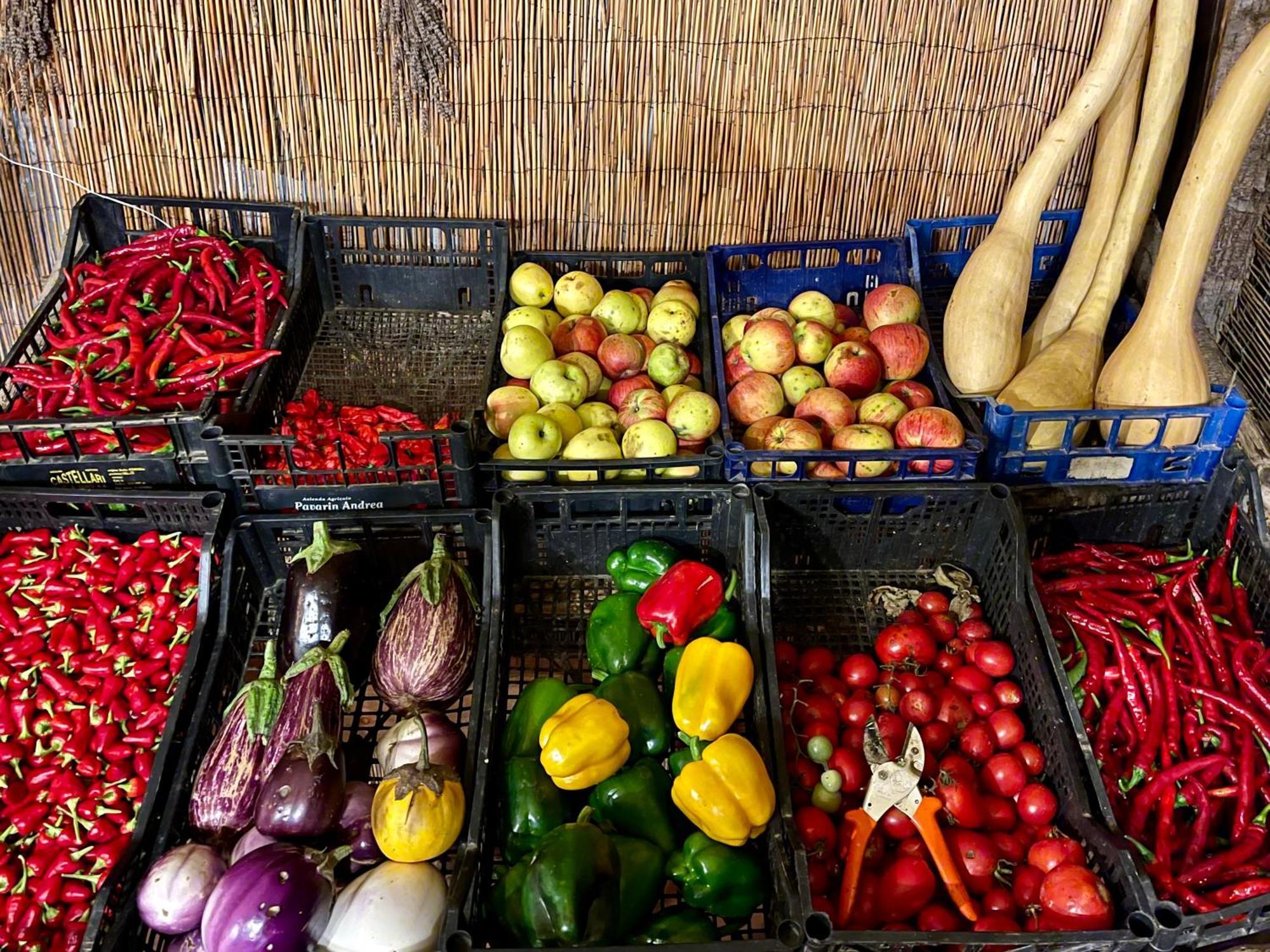 Agriturismo Ca Du Chittu Carro 外观 照片