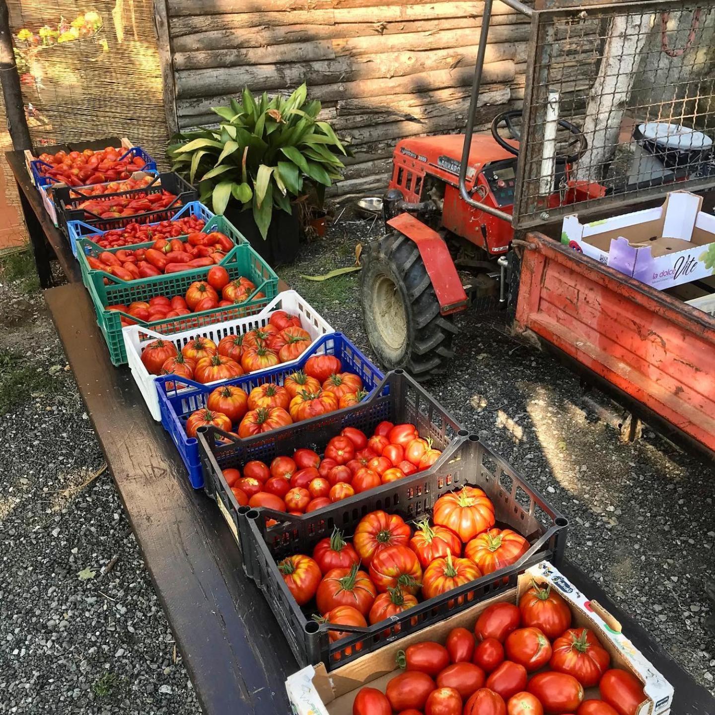Agriturismo Ca Du Chittu Carro 外观 照片